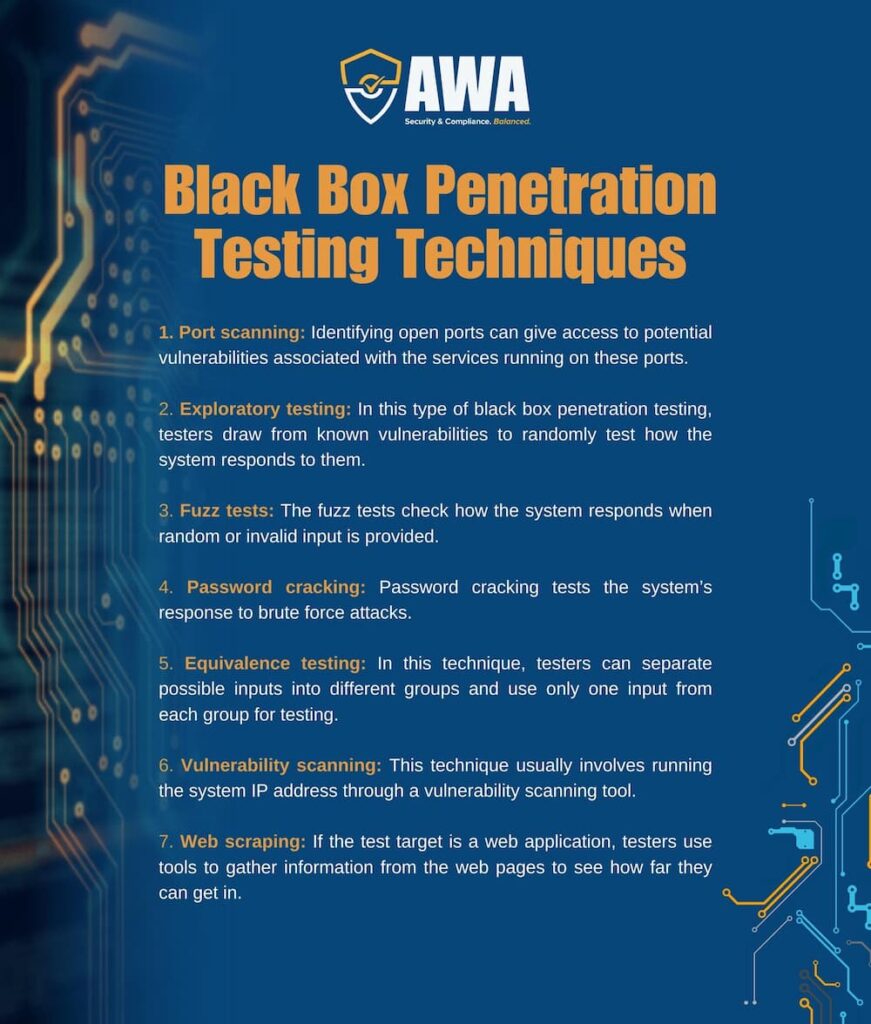 Black Box Penetration Testing techniques